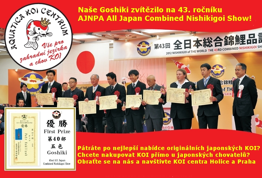 Náš KOI šampion zvítězil na 43. ročníku AJNPA All Japan Combined Nishikigoi Show